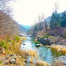 단양생태체육공원 1 이미지