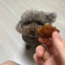 유원글로벌로 | 포스트 영국워홀: 한국은 1년에 두번은 가 줘야