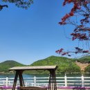 많은물소리공연장 | 충주 음성 드라이브코스 무극저수지 [카페 스완] 뷰 좋은 대형 베이커리카페 추천