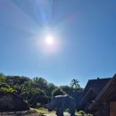 위드코리아 | 카젤라파크 모리셔스 워킹 위드 라이언 에코라이더