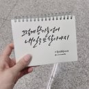 네일은미 이미지