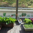 에코농원 이미지