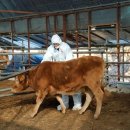 김종만농장 이미지