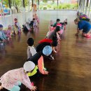 바다 유치원 이미지