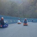 만나손찐빵 | 횡성루지체험장 할인정보 및 예약, 코스길이 체감 후기