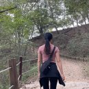 봉황PC게임 | 화성 커플 여행 서봉산 산행 249m 등산로 등산코스 산림욕장 봉수대