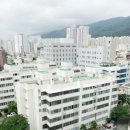 세화부동산 합동공인중개사사무소 이미지