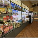 도그마루 고양이 강아지 무료분양 이미지