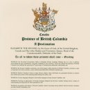 프로보노브릿지 이미지