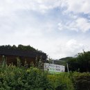 계룡산묵사랑 이미지