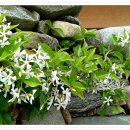 이화여자대학교 신학대학원 이미지