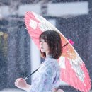 수플라워 이미지