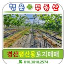 구름부동산중개사무소 이미지