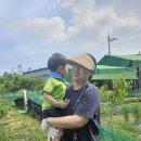 1박2일 여름캠프!!🌴🏕🏖👨‍👩‍👧‍👦부모참여!! 감자캐기🥔♡ 복수아따기 체험했어요🍑🍑~😄😊🏕🌴🌴 이미지