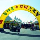 동백나무집민박