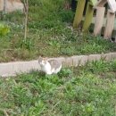 용설호수길 이미지