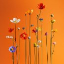 지에스25 청라포레안 이미지