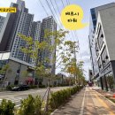 6층 이화약국 이미지