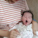 길가락유랑 이미지