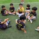 다사태권스쿨 이미지