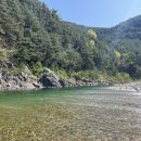 스테이울진 이미지