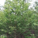 만평농장 이미지