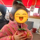 논산관광농원 | 여행 2. 논산 딸기축제 아이랑 갔다온 후기