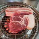 제주돈돼지 이미지