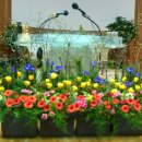 대전삼성성결교회 이미지