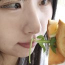 나다미식당 | 일산브런치 모임장소 깡패고양이 모녀 데이트 후기