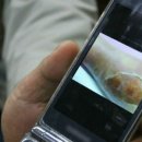 분당경희한약약국 이미지