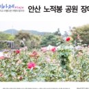 그늘막118 이미지