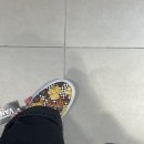 퍼피포피 이미지
