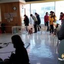 멍멍이다방 이미지