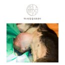 오산동물병원 이미지