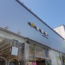 온힐펫 | 온힐펫 당하점 반려동물 용품점 방문후기 내돈내산