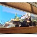 일상의 행복 이미지