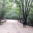 문경새재길 이미지