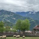 가오농장2 이미지