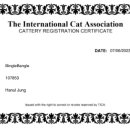 빙글뱅글캐터리 이미지