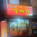 금이네 갈매기