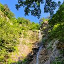 파인넛펜션 이미지