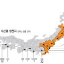 ‘日 수산물’ 식탁 공포 확산‘수입금지’ 8개현 외 도쿄·홋가이도産 등 日전역서 방사능 검출 이미지