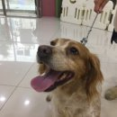 신석초교 이미지