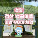 백곡리마을 | [청양/관광] 정산면 백곡리 백곡마을, 꽃밭 꾸미기 체험