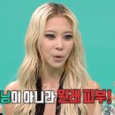 다영푸드