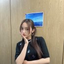 히카리 티스토리