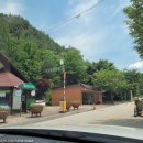 태백고원자연휴양림 자동차야영장 이미지