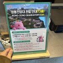 서울시청 서소문청사 1층 로비 | 덕수궁 돌담길 단풍과 서울시청 서소문청사 13층 정동전망대 다녀온 최신 후기