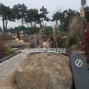 블랙업커피 을숙도 | [부산/을숙도] 카페 블랙업커피 을숙도점 스페셜티 커피 내돈내산 추천 후기